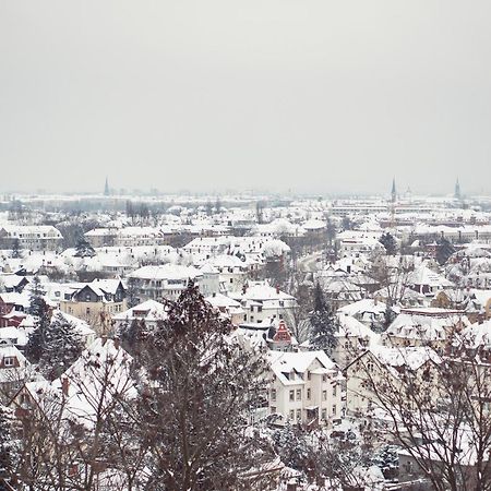 Bergwirtschaft Wilder Mann Hotel Und Restaurant Drezda Kültér fotó